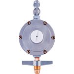 Regulador-Semi-Industrial-Bruto-76506-18-5Kg--
